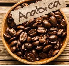 Arabica