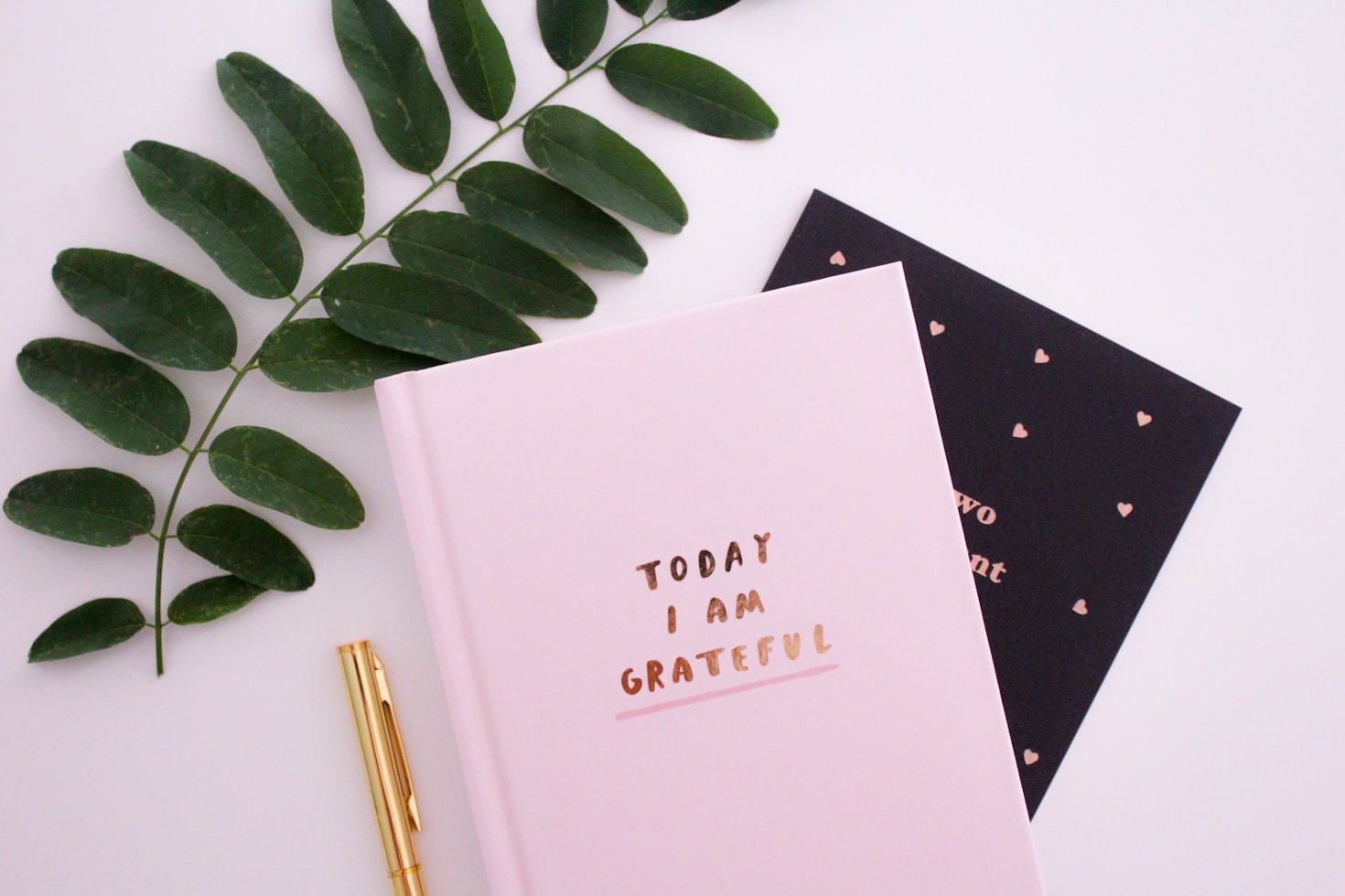 Exploring Passions Through Life’s Adventures